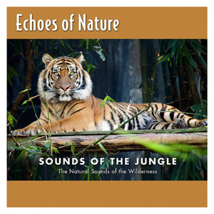 按摩喷潮在线播放无码
